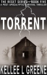 Читать книгу The Reset Series | Book 5 | Torrent